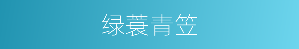 绿蓑青笠的意思