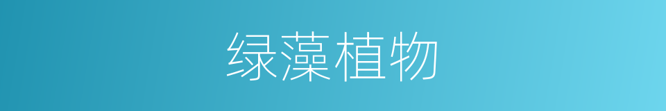 绿藻植物的同义词