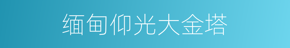 缅甸仰光大金塔的同义词