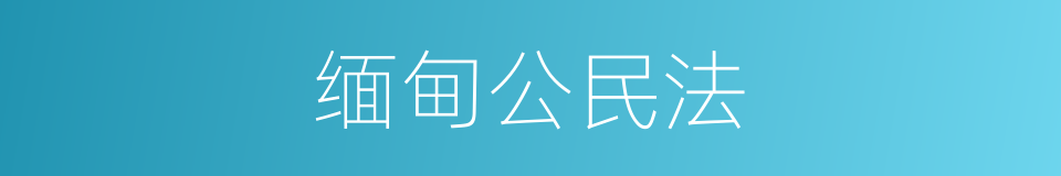 缅甸公民法的同义词