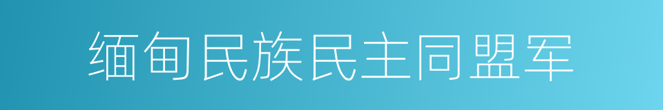 缅甸民族民主同盟军的同义词