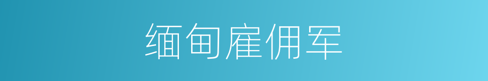 缅甸雇佣军的同义词