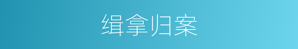 缉拿归案的意思