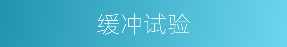缓冲试验的同义词