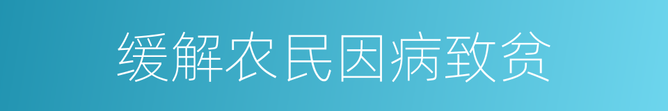 缓解农民因病致贫的同义词