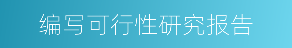 编写可行性研究报告的同义词