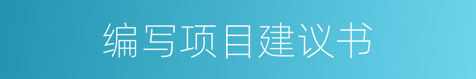 编写项目建议书的同义词