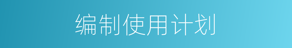 编制使用计划的同义词