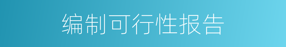 编制可行性报告的同义词