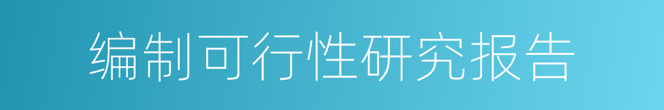 编制可行性研究报告的同义词