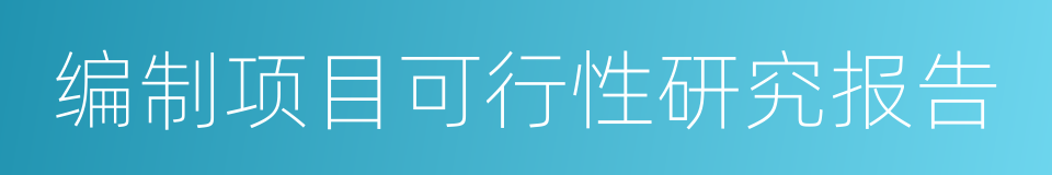 编制项目可行性研究报告的同义词