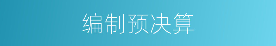 编制预决算的同义词