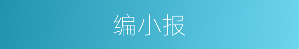 编小报的同义词