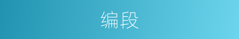 编段的同义词