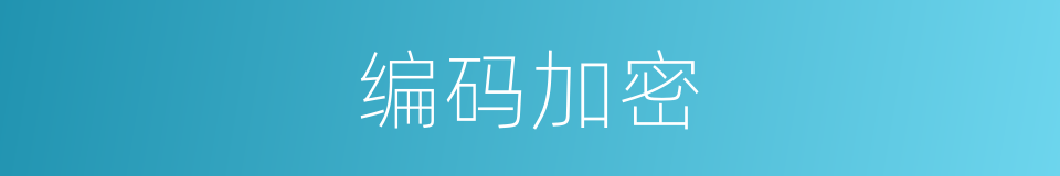 编码加密的同义词