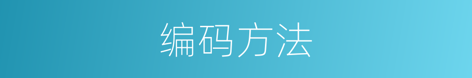编码方法的同义词