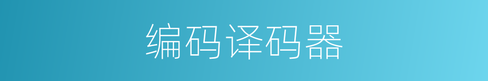 编码译码器的同义词