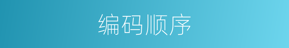 编码顺序的同义词