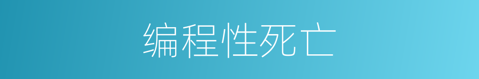 编程性死亡的同义词