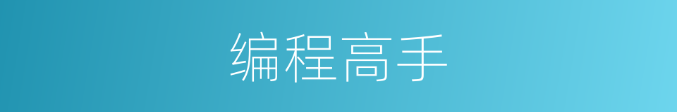 编程高手的同义词