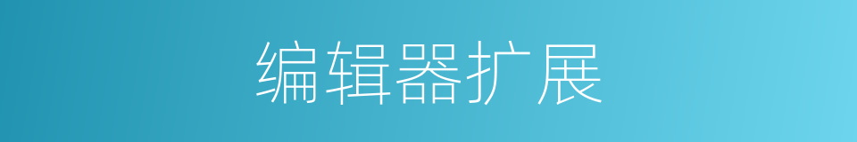 编辑器扩展的同义词