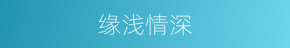 缘浅情深的意思