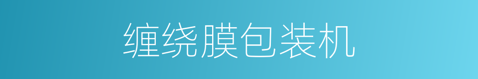 缠绕膜包装机的同义词