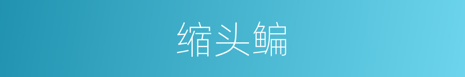 缩头鳊的同义词
