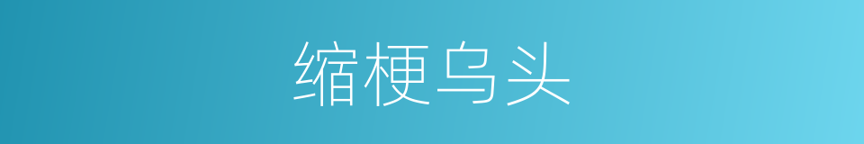 缩梗乌头的同义词