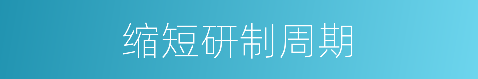 缩短研制周期的同义词