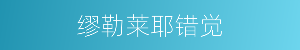 缪勒莱耶错觉的同义词