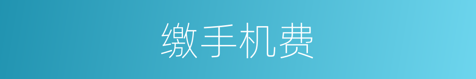 缴手机费的同义词