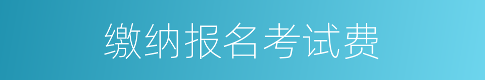 缴纳报名考试费的同义词