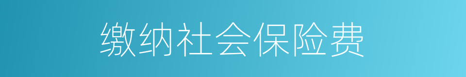 缴纳社会保险费的同义词