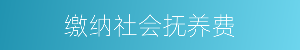 缴纳社会抚养费的同义词