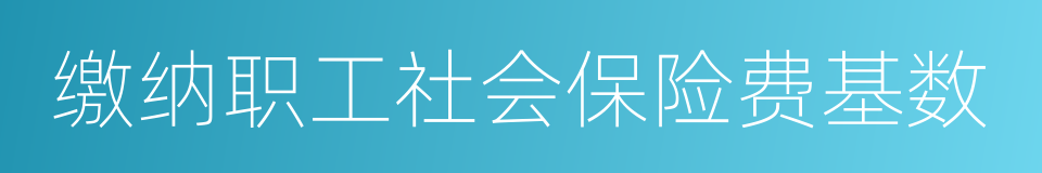 缴纳职工社会保险费基数的同义词