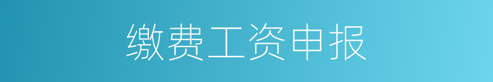 缴费工资申报的同义词