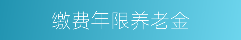 缴费年限养老金的同义词