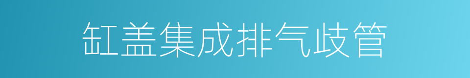 缸盖集成排气歧管的同义词