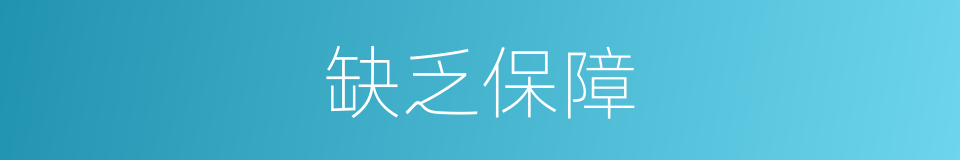 缺乏保障的意思
