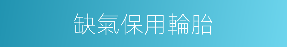 缺氣保用輪胎的同義詞