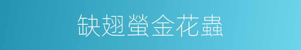缺翅螢金花蟲的同義詞