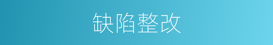 缺陷整改的同义词