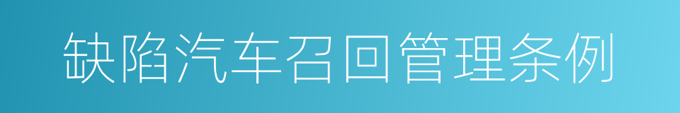 缺陷汽车召回管理条例的同义词