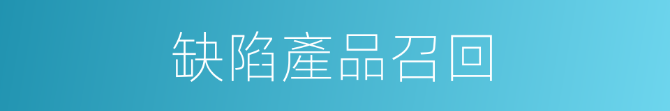 缺陷產品召回的同義詞