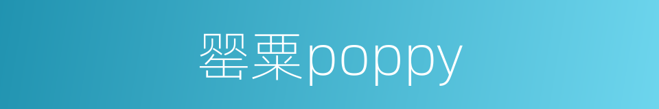 罂粟poppy的同义词