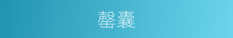 罄囊的意思