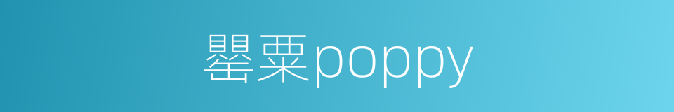 罌粟poppy的同義詞