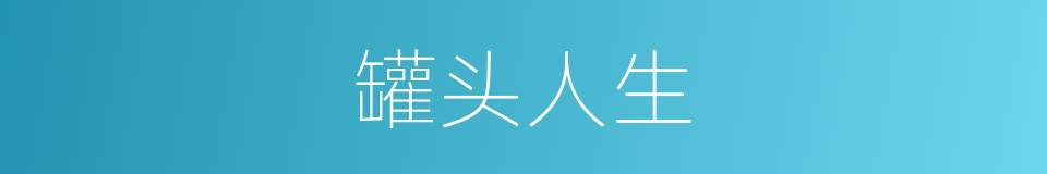 罐头人生的同义词