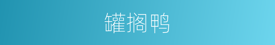 罐搁鸭的同义词